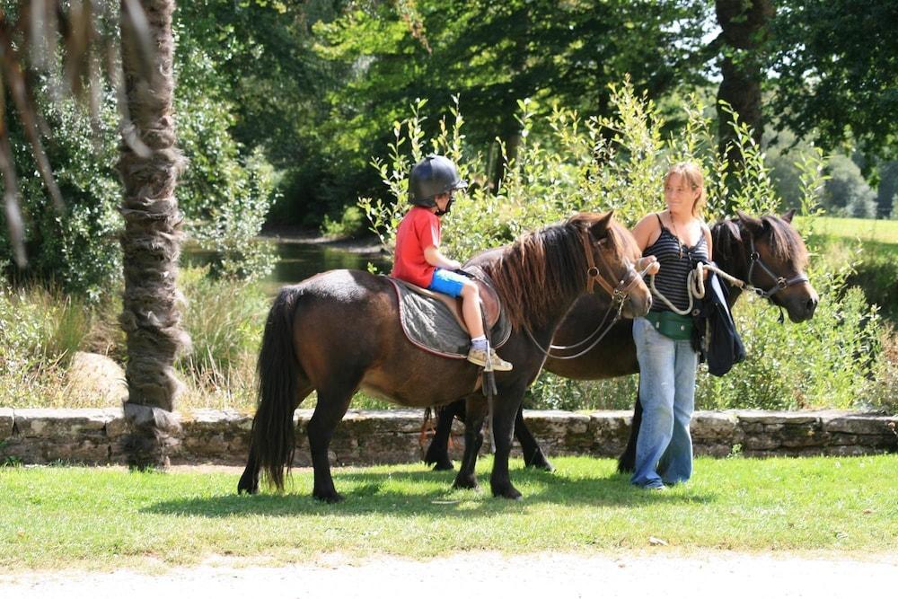 Domaine De L'Orangerie De Lanniron Hotell Quimper Exteriör bild
